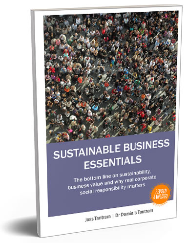 Sustainable Business Essentials Book Cover 3D image